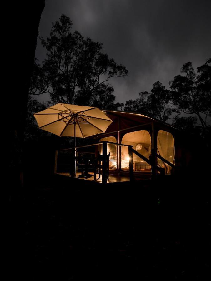 Wild Nature Lodge, Mareeba Wetlands Biboohra ภายนอก รูปภาพ