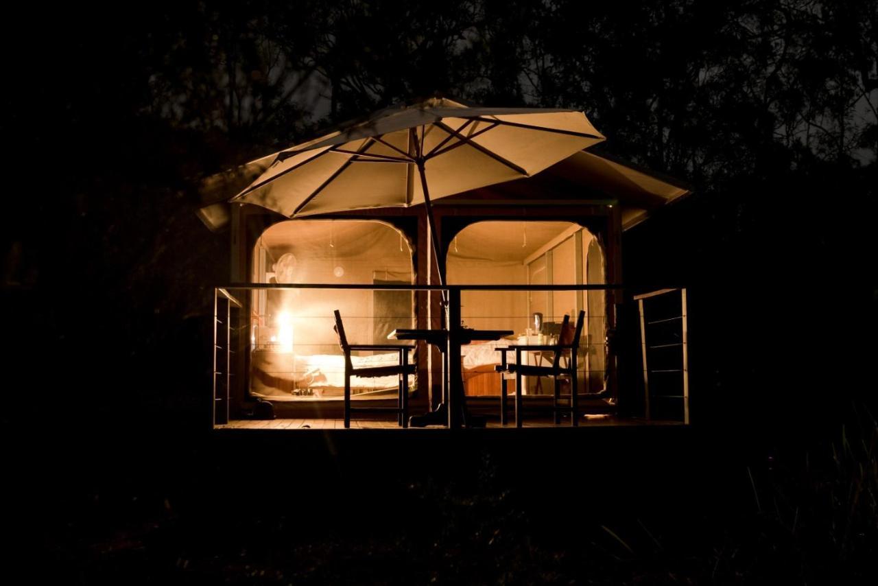 Wild Nature Lodge, Mareeba Wetlands Biboohra ภายนอก รูปภาพ