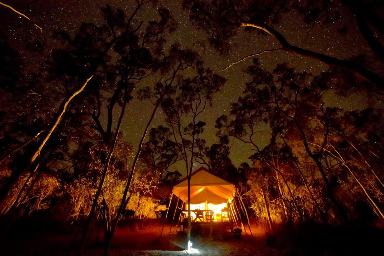 Wild Nature Lodge, Mareeba Wetlands Biboohra ภายนอก รูปภาพ