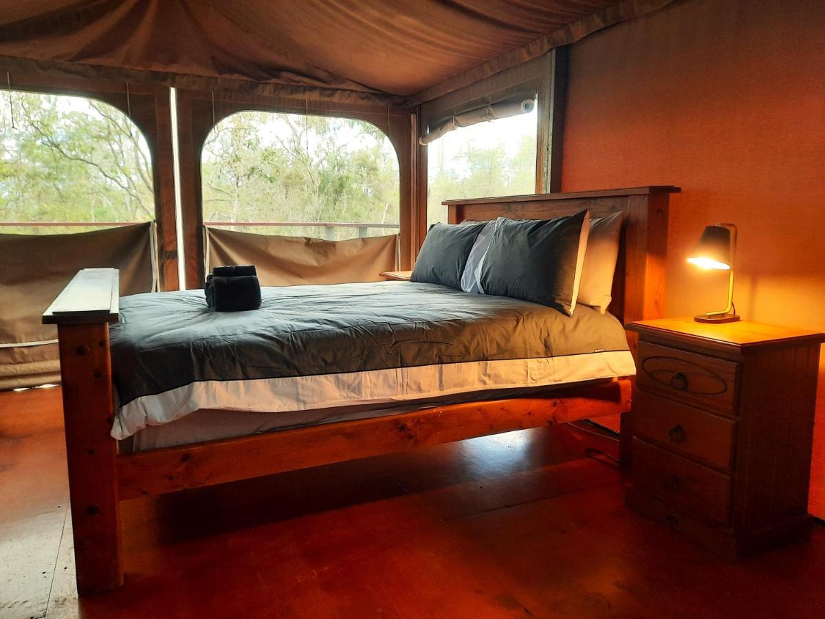 Wild Nature Lodge, Mareeba Wetlands Biboohra ภายนอก รูปภาพ