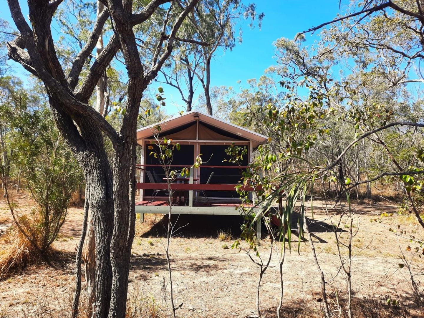 Wild Nature Lodge, Mareeba Wetlands Biboohra ภายนอก รูปภาพ